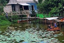 Ảnh: Khu du lịch Hoa Rừng. Nguồn: Facebook Cà Mau ơi!