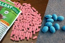 Ăn nhầm thuốc diệt chuột, em gái út tử vong, hai anh trai nguy kịch
