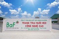 BAF tiếp tục thâu tóm công ty chăn nuôi thứ 8 