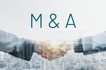 Các thương vụ M&A nổi bật năm 2024 