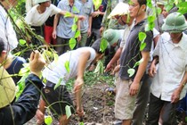 Cận cảnh người dân “khai quật”... thuốc trừ sâu