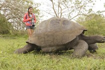 Loạt sinh vật lạ ai cũng muốn "đụng" khi thám hiểm Galapagos