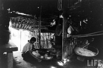 Cận cảnh cuộc sống của dân nghèo ở Huế năm 1961