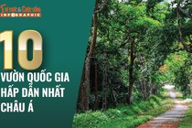 [INFOGRAPHIC] 10 Vườn quốc gia hấp dẫn nhất châu Á