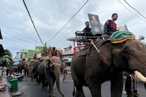 Hình ảnh đàn voi diễu hành tiễn biệt “vua voi” Tây Nguyên