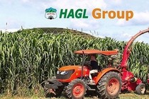 Tổng giám đốc HAGL Agrico nói gì về kết quả lỗ khủng 2.325 tỷ năm 2019?