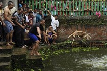 Những hình ảnh man rợ trong lễ hội giết dê ở Nepal