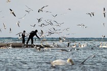 Cảnh sắc trời đông tuyết trắng ở Crimea qua ảnh