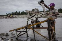 Nghề khai thác vàng lậu ở Indonesia qua ảnh