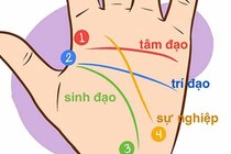 Video: Có 1 trong 4 đường chỉ tay này chắc chắn tài lộc như nước, may mắn cả đời