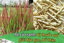 Video: Rễ cỏ tranh- vị thuốc quý giải độc gan, bổ thận