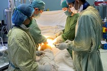 Vụ cây xanh bật gốc: Người phụ nữ mang thai bị rách thận, vỡ gan