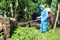 Hà Nội: Tăng cường các biện pháp phòng chống sốt xuất huyết