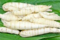 Tác dụng tuyệt vời của củ dong riềng không phải ai cũng biết