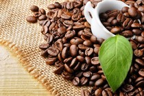 5 mẹo đánh bay mùi hôi siêu nhanh cho hộp nhựa