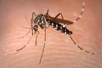 Bé trai 5 tháng tuổi bị cô đặc máu do sốc sốt xuất huyết nặng