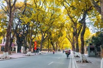 7 địa điểm du lịch ở miền Bắc đẹp như mơ vào mùa Thu
