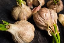 4 loại tỏi bà nội trợ không nên mua, tránh ảnh hưởng sức khỏe