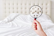 Loài vật nhỏ hơn sợi tóc có thể gây dị ứng, viêm xoang cho con người