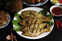 Loại cá giàu omega-3 được ví như "trợ thủ đắc lực" giúp cải thiện mỡ máu
