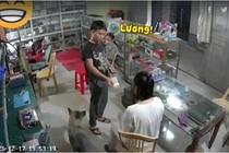 Video: Cười ngất với ông chồng “hét ra lửa” trước mặt “nóc nhà”