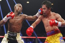 Mayweather bị tước đai vô địch đắt giá do không nộp tiền