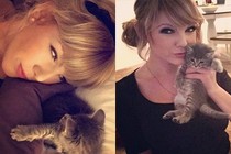 Dân mạng ngã ngửa khi phát hiện “bản sao của Taylor Swift“