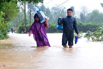 7 người đu nhánh tre, cây bạch đàn chống chọi cơn lũ dữ