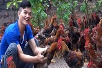 Chàng trai dân tộc Dao thu tiền tỷ mỗi năm nhờ nuôi gà 