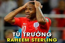 “Thánh vô duyên” Sterling bị chế ảnh tại World Cup 2018