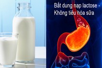 Video: Tại sao nhiều người bị đau bụng khi uống sữa? 