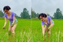 Đi dặm lúa, bà Tưng để lộ vòng một "ná thở"