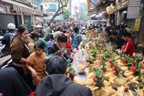 Gà cúng "đội giá" gần triệu đồng/con ngày 30 tết