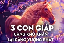 Mạnh được yếu thua, 3 con giáp càng khó khăn lại càng phất lên vùn vụt 