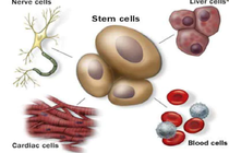 3 ưu điểm khi điều trị bằng liệu pháp tế bào gốc