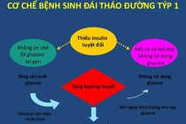 “Vắc xin” đầu tiên làm chậm sự xuất hiện bệnh đái tháo đường typ 1