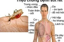 Việt Nam có 42 tỉnh, thành loại trừ bệnh sốt rét