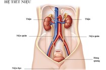 Nhiễm trùng tiểu thai kỳ dễ hỏng thận và ảnh hưởng xấu đến thai kỳ