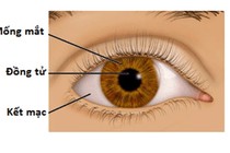 Dùng mống mắt để xác định nhân thân thay thế dấu vân tay