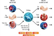 Dấu hiệu cho thấy cơ thể cần thải độc