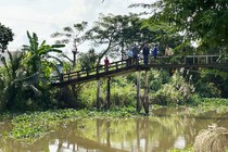 Truy bắt cá sấu nặng gần 40kg nổi trên sông ở Long An 