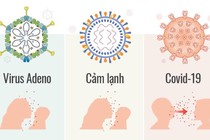 Xác định trẻ mắc adenovirus, không cần thiết xét nghiệm tại nhà