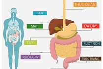 Chủ động tầm soát ung thư, thói quen sống còn trong thời hiện đại