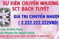 Dân chơi Hưng Yên chuyển nhượng 2 chậu lan Bạch Tuyết giá 2,6 tỷ đồng