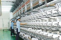 Sợi Thế Kỷ thay Chủ tịch, đặt mục tiêu lợi nhuận tăng 9% năm 2020