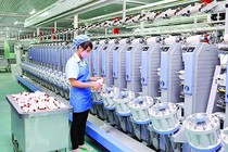 TCM báo lợi nhuận tháng 1 đạt 1,1 triệu USD, tăng 4% so cùng kỳ