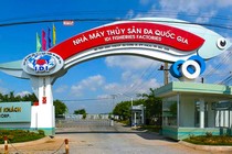 Sếp IDI muốn gom thêm cổ phiếu để sở hữu 5,27% vốn công ty