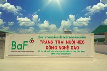 BaF Việt Nam chào bán hơn 7,1 triệu cổ phiếu ESOP, giá chiết khấu 55%