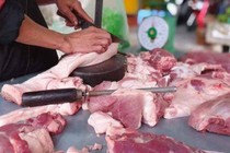 Giá heo hơi hôm nay: Đi ngang, mức cao nhất đạt 69.000 đồng/kg