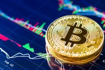 Bitcoin thiết lập mức kỷ lục 11.000 USD Mỹ, đồng tiền ảo này có sống lại thời hoàng kim?